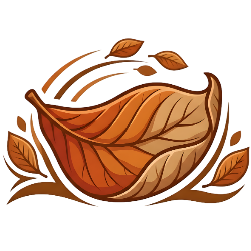 Daun Ketapang Kering